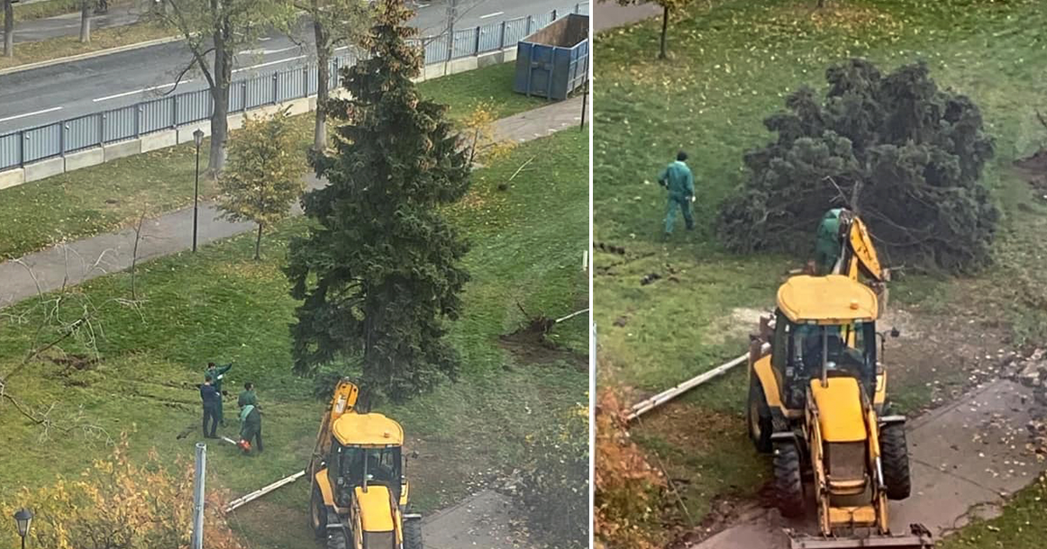 Прямо сейчас уничтожают бульвар на Дмитрия Ульянова