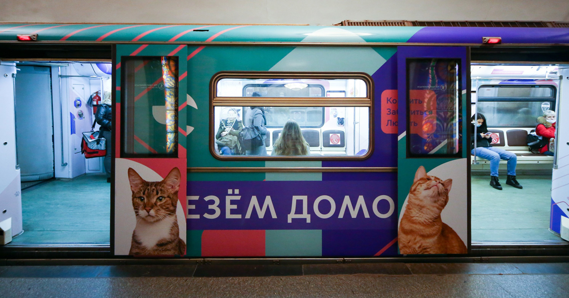 В метро запустили поезд, в котором можно выбрать себе кошку или собаку из приюта