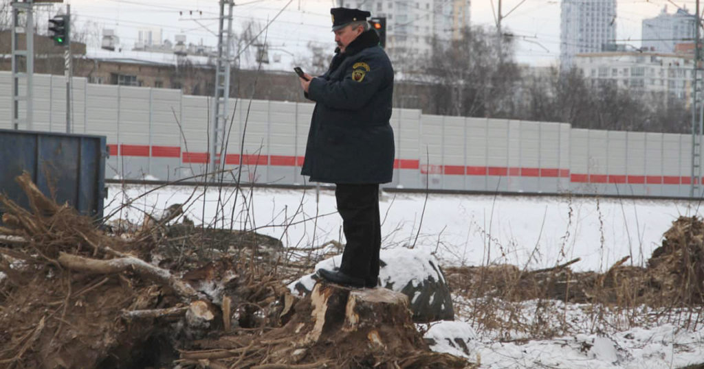 Активист из Дорогомилово нашел документы, по которым вырубают 12 тысяч деревьев в районе