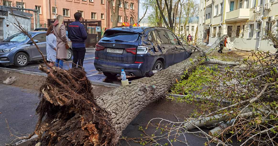 Из-за сильного ветра падают деревья: бьются машины, есть пострадавшие
