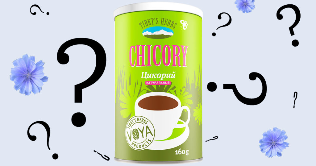 Зачем москвичу цикорий?