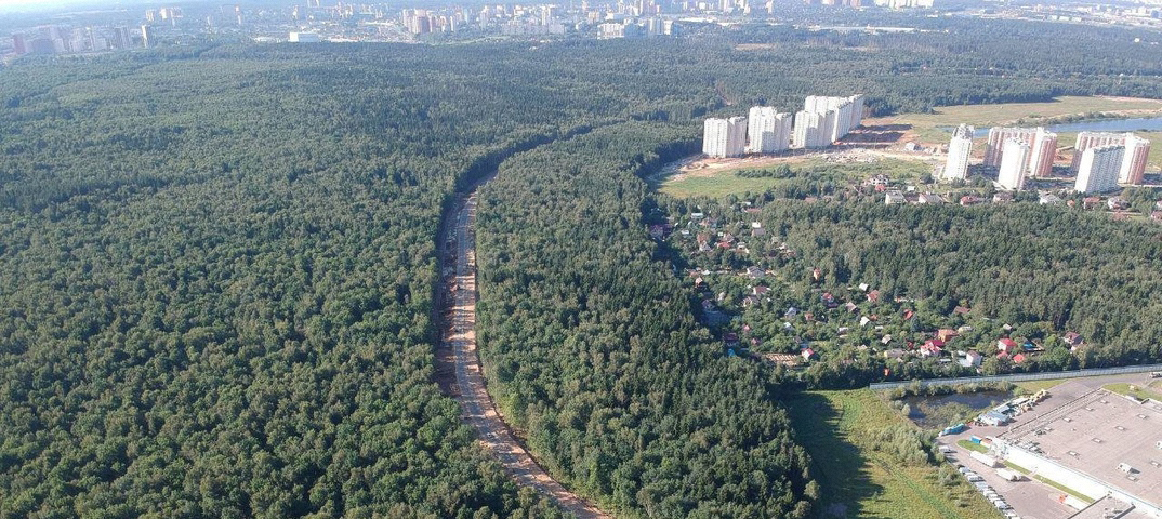 Ульяновскому лесопарку на Юго-Западе Москвы грозит уничтожение сразу двумя дублерами