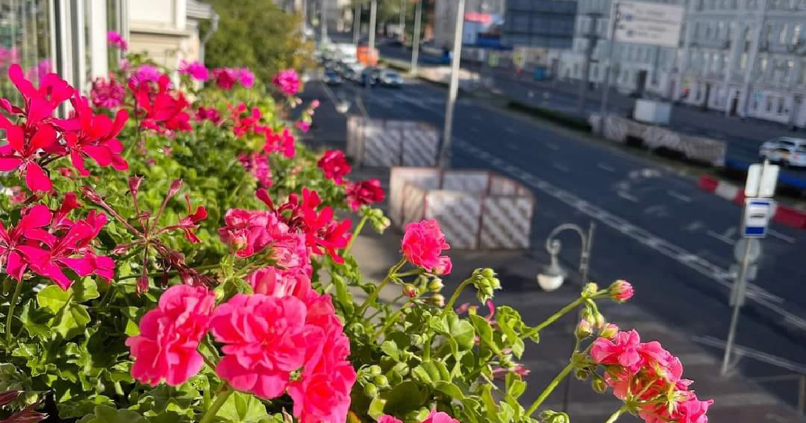 Жительница Тверского показала фотографии самых красивых балконов в районе, собранные ею за лето
