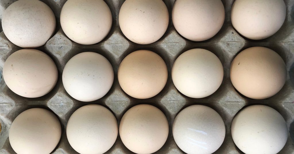 Торговые сети предупредили, что цены на куриное мясо и яйца вырастут