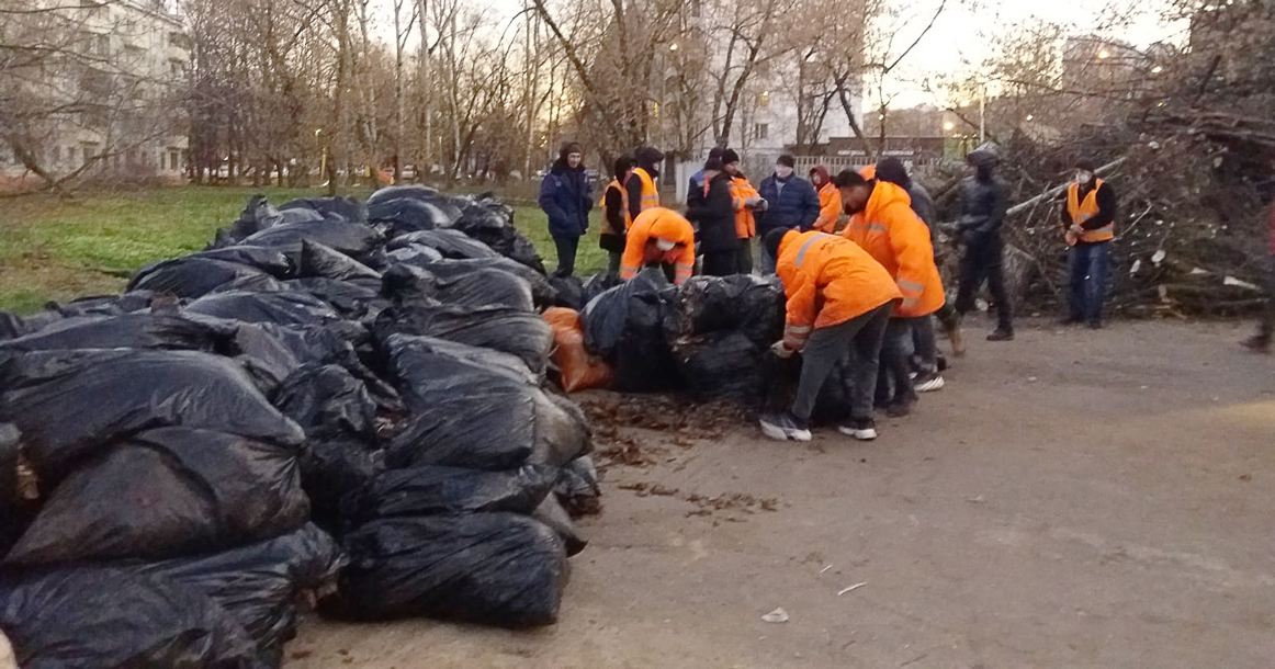 В Перово появились путешествующие листья