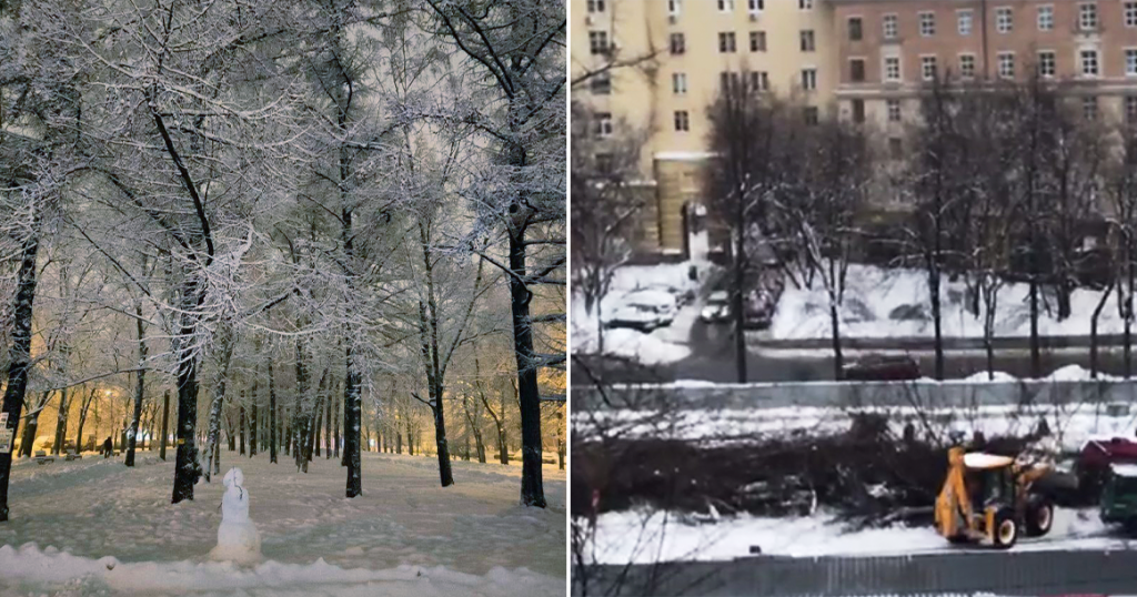 Вот так выглядит улица Дмитрия Ульянова, где вырубили деревья для строительства метро