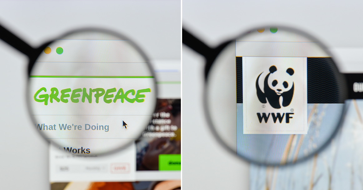 Greenpeace и WWF могут признать иноагентами по просьбе Российского экологического общества