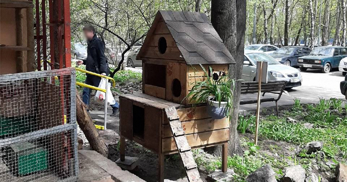 В районе Теплый Стан появился вот такой дом для кошек