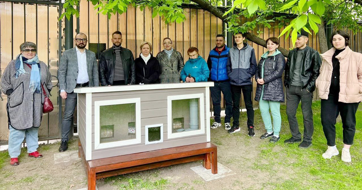 Вот какой коттедж для кошек появился в саду имени Баумана