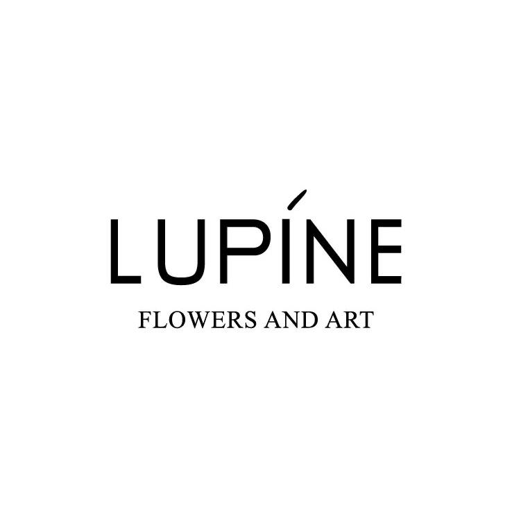Lupíne Flowers and Art