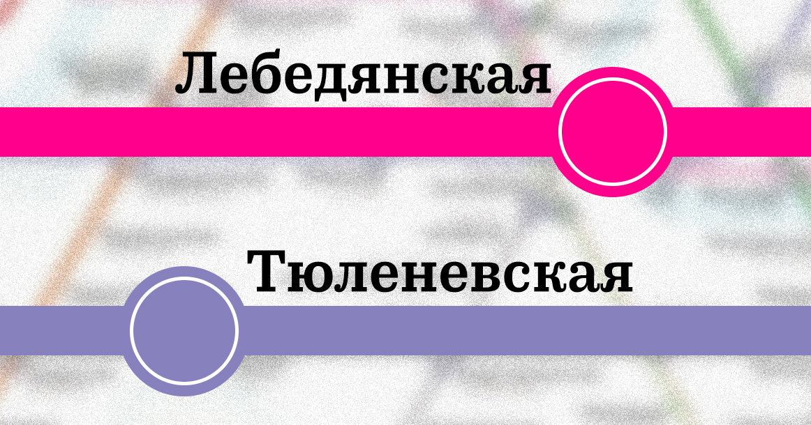 «Тюленевская» и «Лебедянская»: 15 новых станций метро получили названия