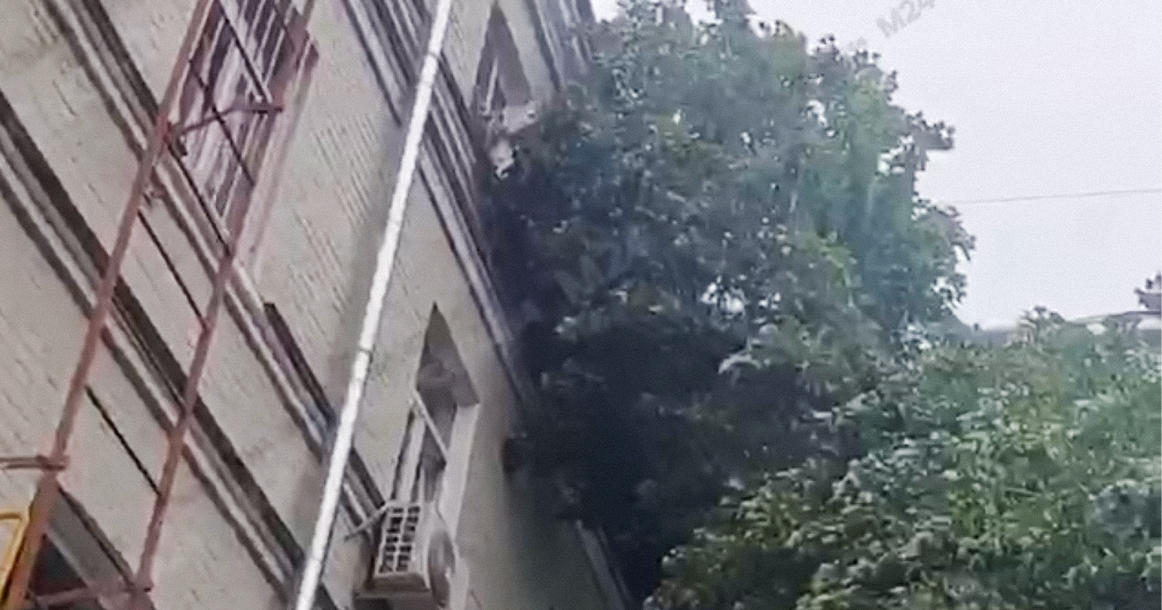 В Малом Каретном дерево упало прямо в окно квартиры