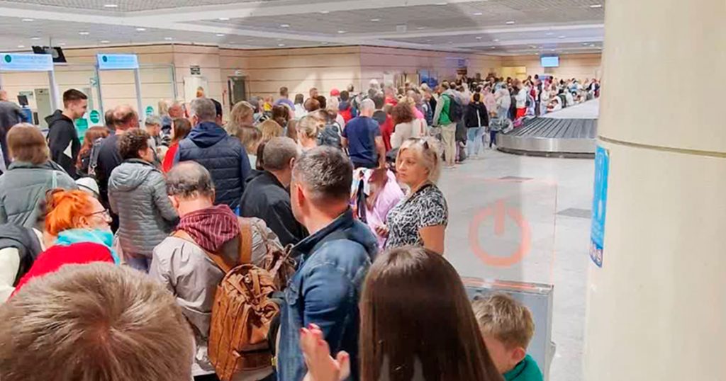 Turkish Airlines не привезли в Домодедово багаж всех пассажиров сразу двух самолетов