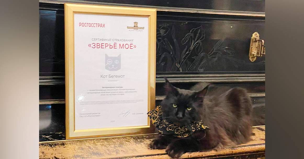 Кота Бегемота из музея Булгакова застраховали