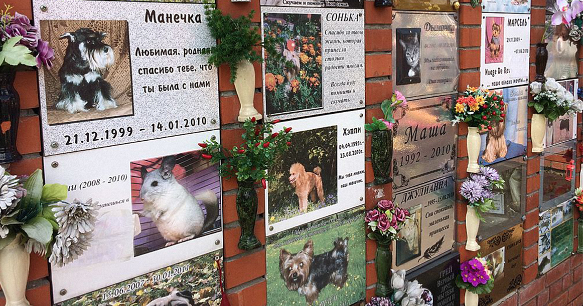 «Спи спокойно, наш комочек»: прогулка по единственному в Москве кладбищу для животных