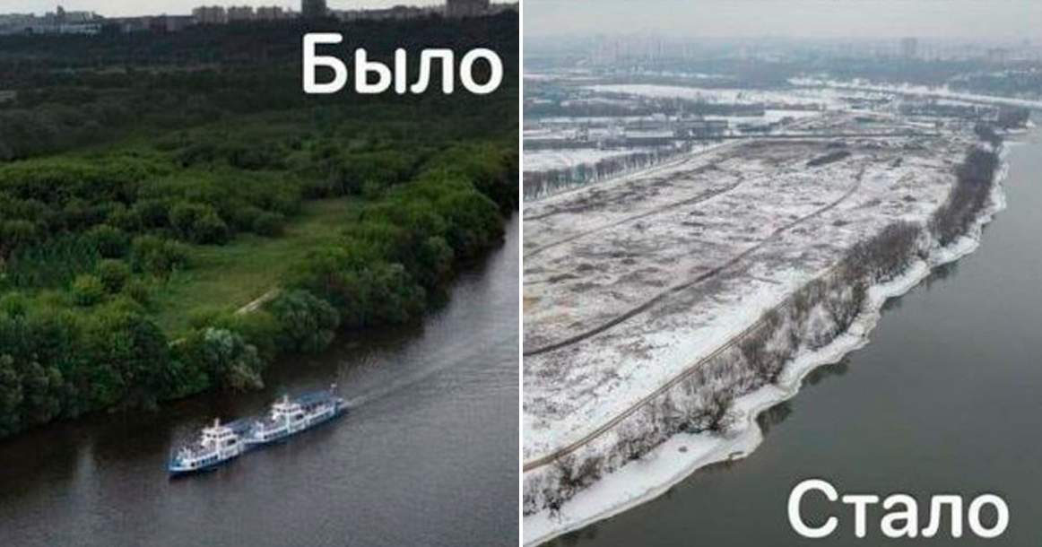 Как сотня футбольных полей: в охранной зоне Коломенского вырубили 100 гектаров леса