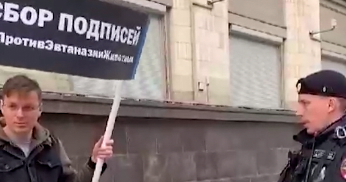 Волонтеры вышли к Госдуме собирать подписи против закона об убийстве бездомных животных