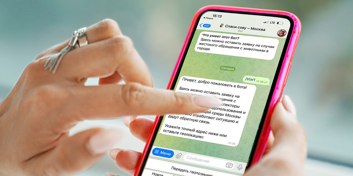 В Москве запустили чат-бот «Спаси сову» в Telegram для помощи диким животным