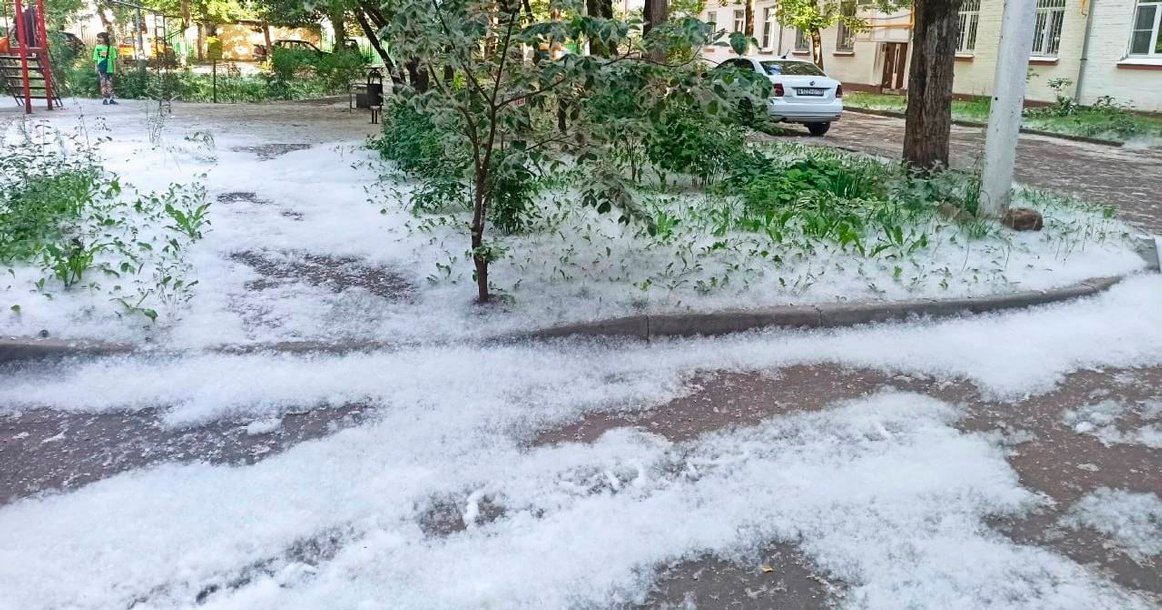 Москвичи делятся фотографиями «сугробов» из пуха на улицах