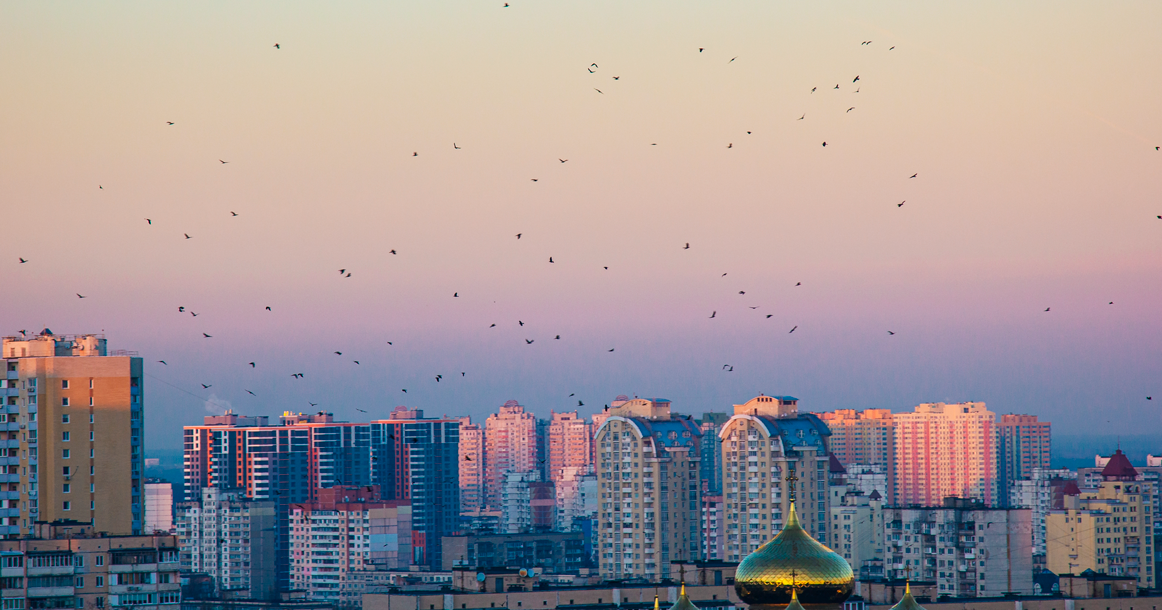Птицы уже начали улетать из Москвы на зимовку
