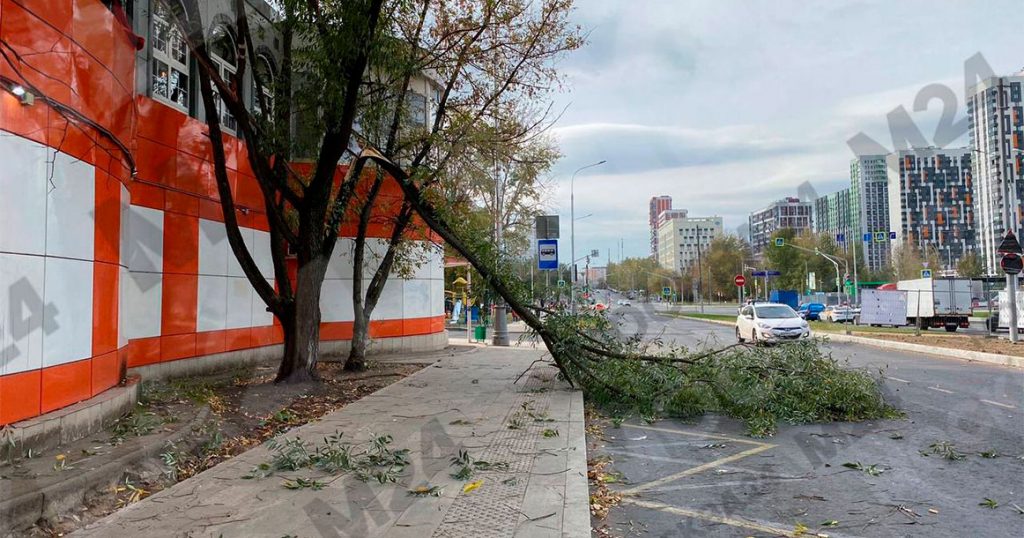 Ураганный ветер в Москве валит деревья и срывает крыши с беседок