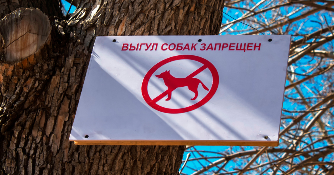 Возле «Лосиного острова» появились угрозы для собачников, что их питомцев будут травить