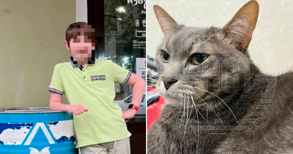 В Северном Измайлово кот Кузя спас 10-летнего школьника от пожара