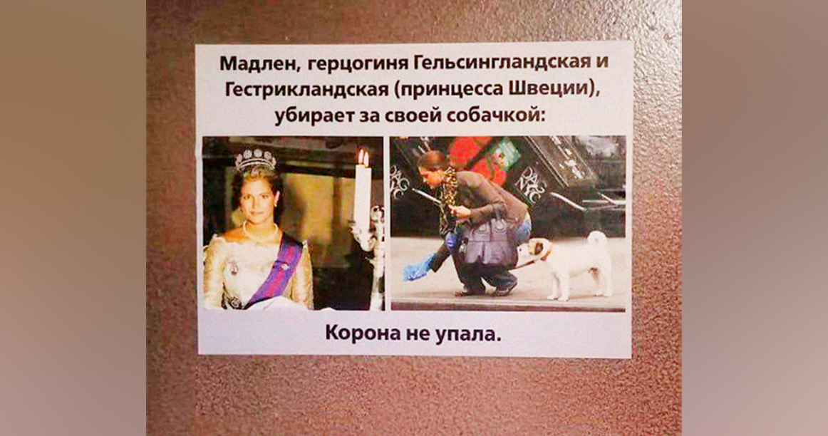 Борцы за чистоту расклеили в Лосиноостровском объявления для собачников с принцессой Швеции