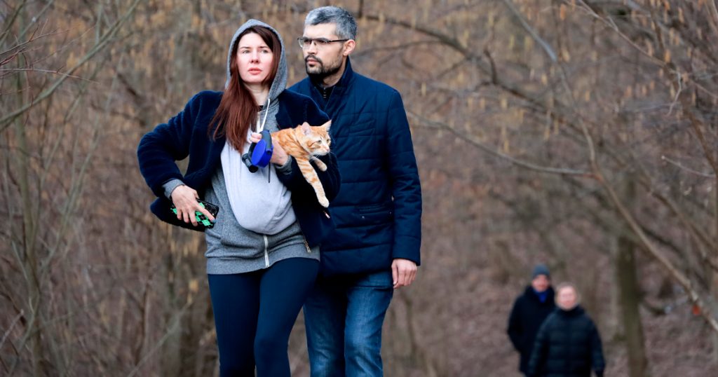 К выходным синоптики обещают похолодание до –3 градусов