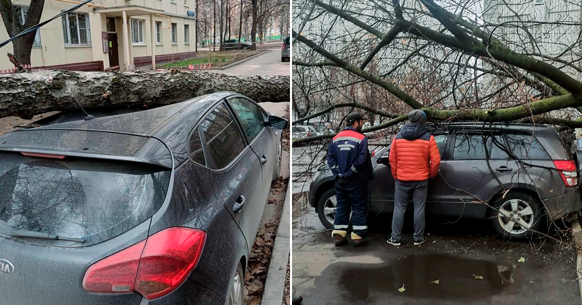 К утру число пострадавших из-за урагана выросло до 17 человек, 2 погибших