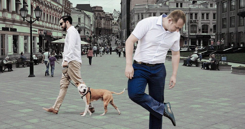 Я только недавно узнала, что в самом собачьем городе Москве есть люди, которые не любят собак