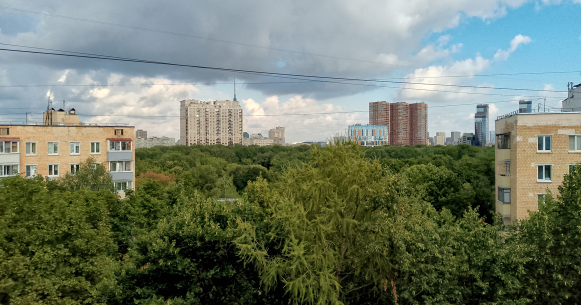 Вид из моего окна: на парк «Дубки»