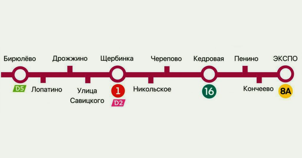 10 новых станций: Бирюлевскую линию метро планируют продлить в Новую Москву