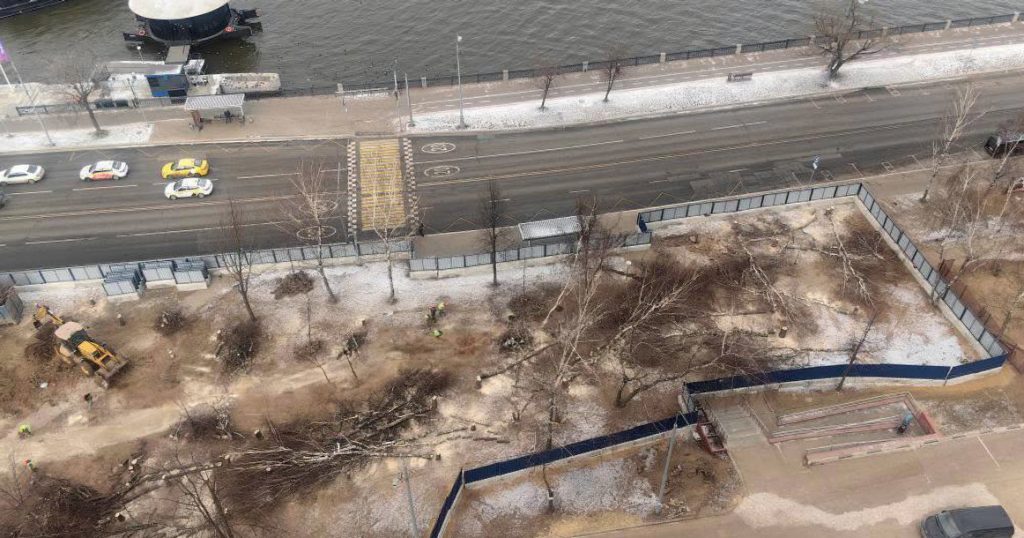 В Нагатинском Затоне спилили березовую аллею для строительства Бирюлевской линии