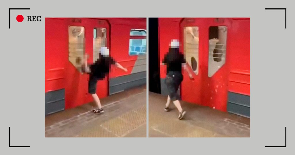 Задержана 14-летняя девочка, разгромившая электричку МЦД молотком