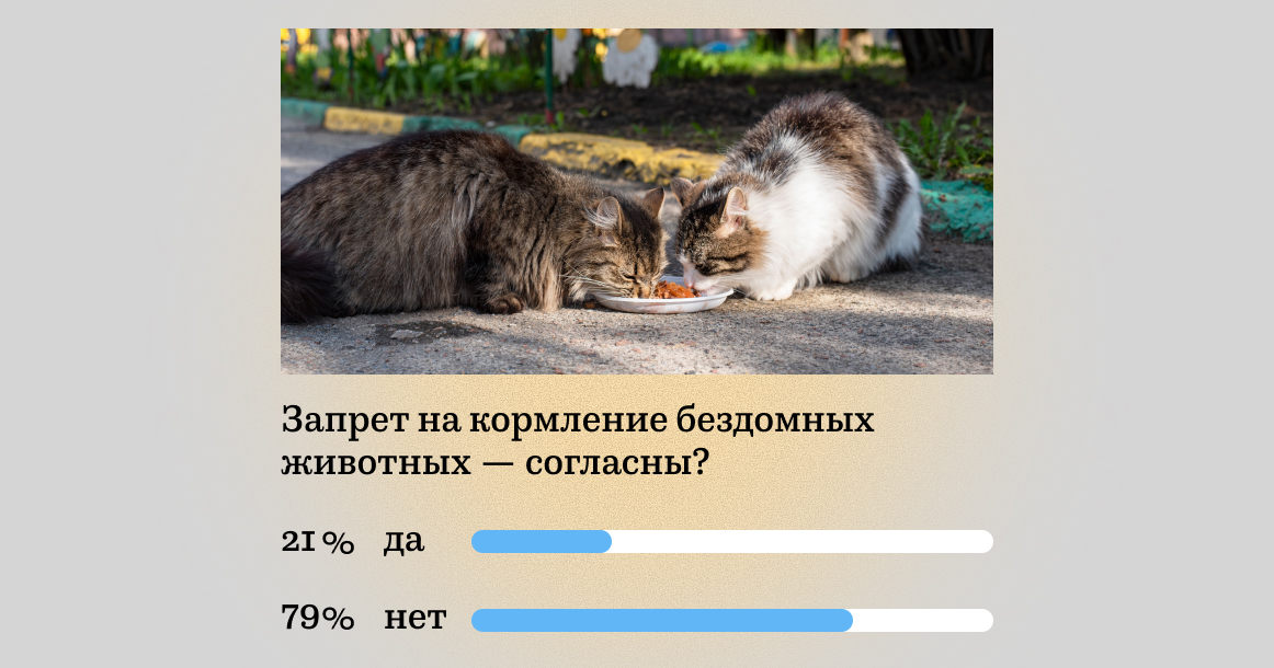 79% москвичей выступают против запрета на кормление бездомных животных