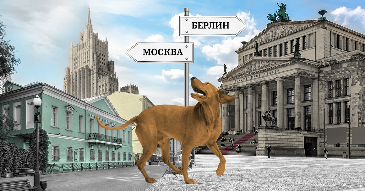 Песья релокация: я жил с собакой в Москве, теперь в Берлине. Где лучше?