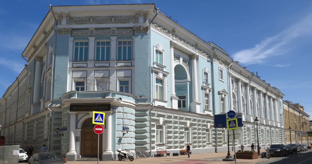 Дом недели: Зоологический музей на Большой Никитской