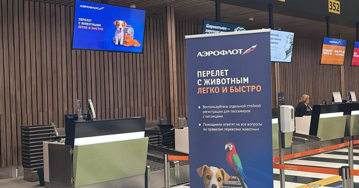 В Шереметьево появилась отдельная стойка «Аэрофлота» для пассажиров с животными