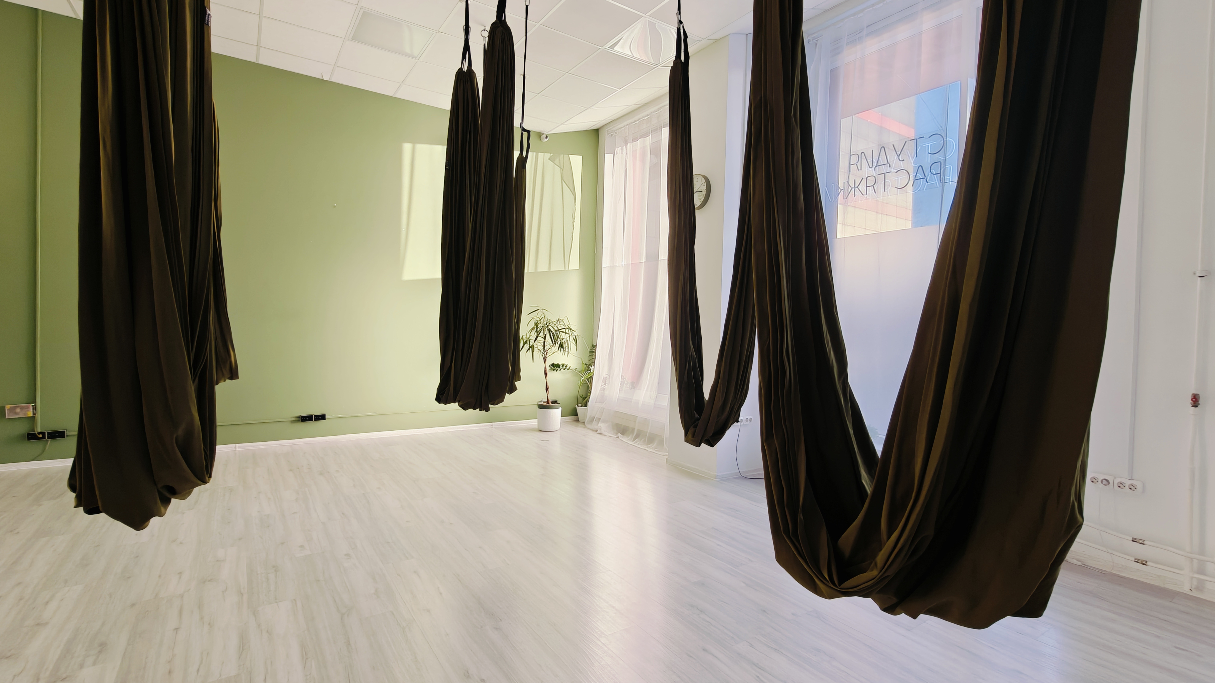 Фото из галереи