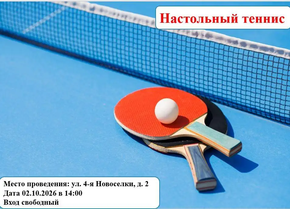 Настольный теннис