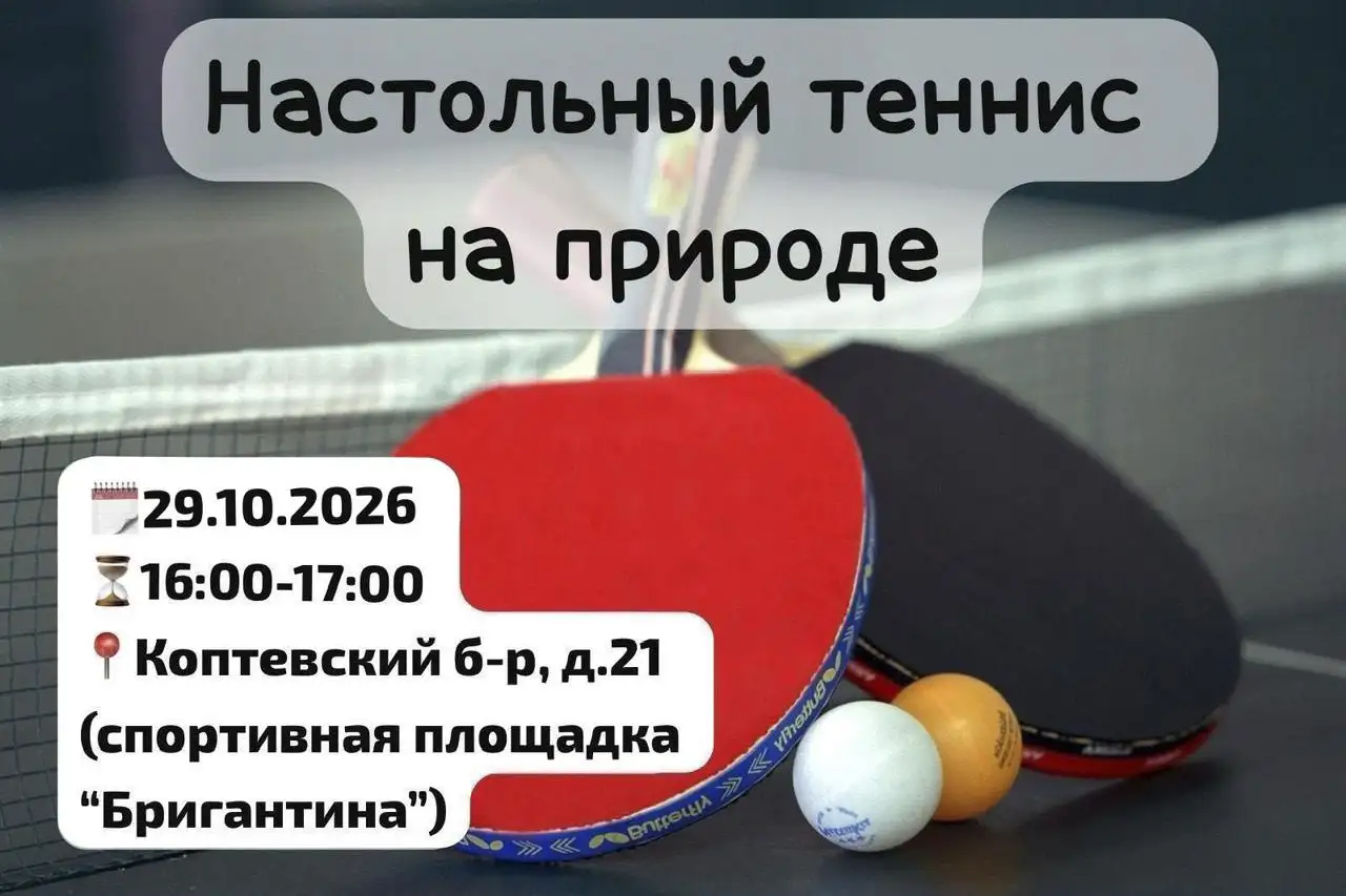Настольный теннис на природе