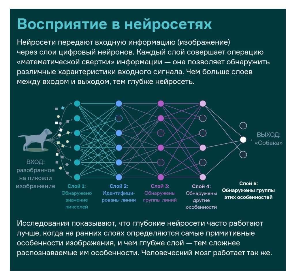 Нейросети в быту: практические примеры и советы
