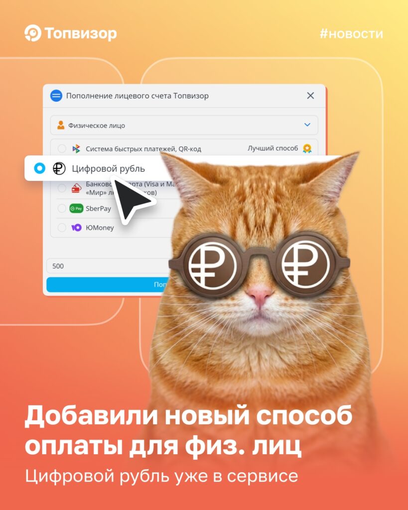 Внедрение цифрового рубля в системе оплаты сервиса Топвизор: аналитический обзор