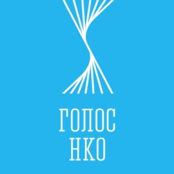 Региональный конкурс социально ориентированных некоммерческих организаций Мурманской области «Голос НКО»