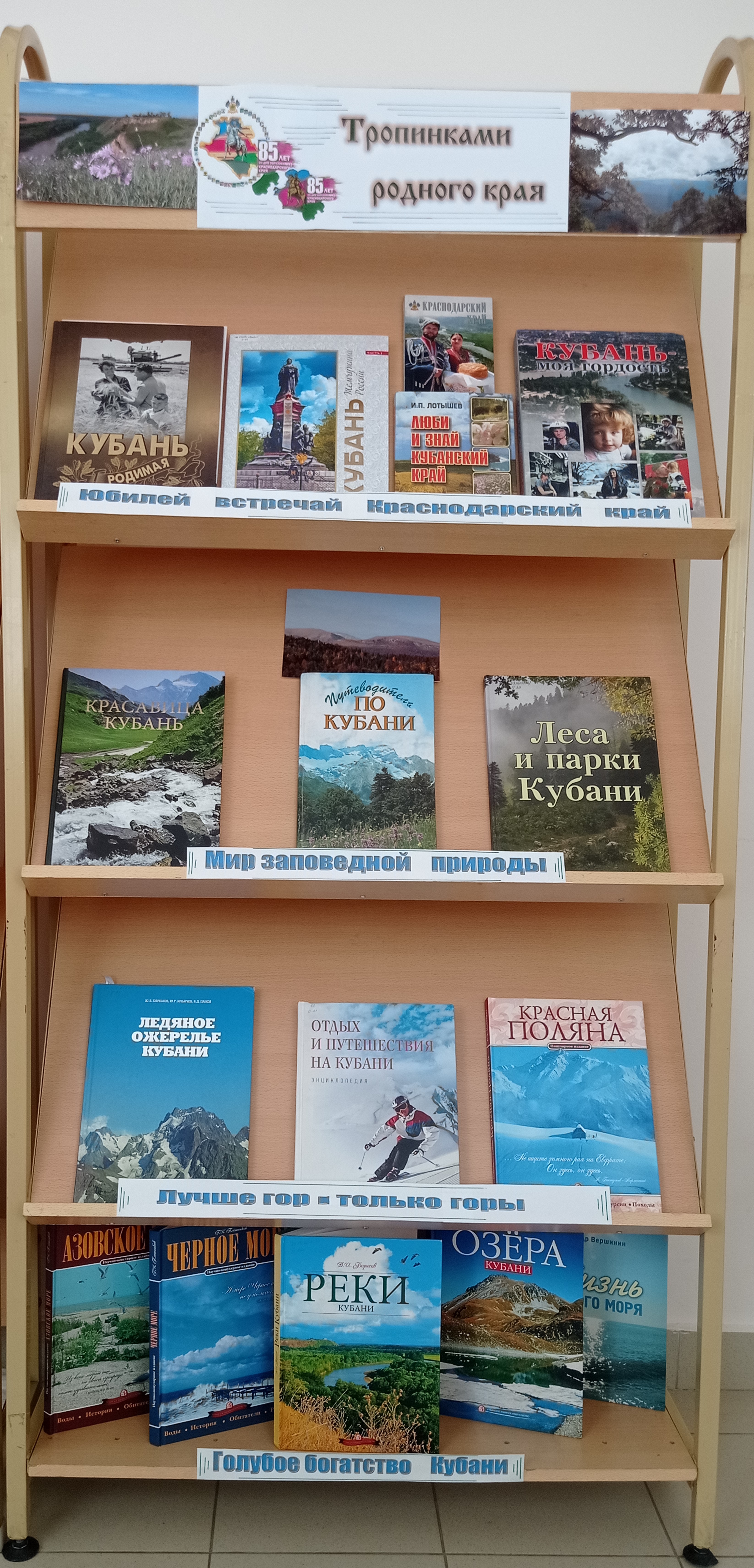 МБУК ЦСБ Лосевского сельского поселения.jpg