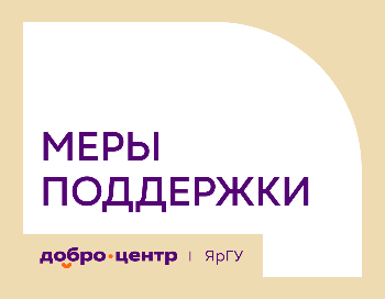 Информационная поддержка добровольческой деятельности