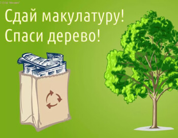 Сбор макулатуры и пластика