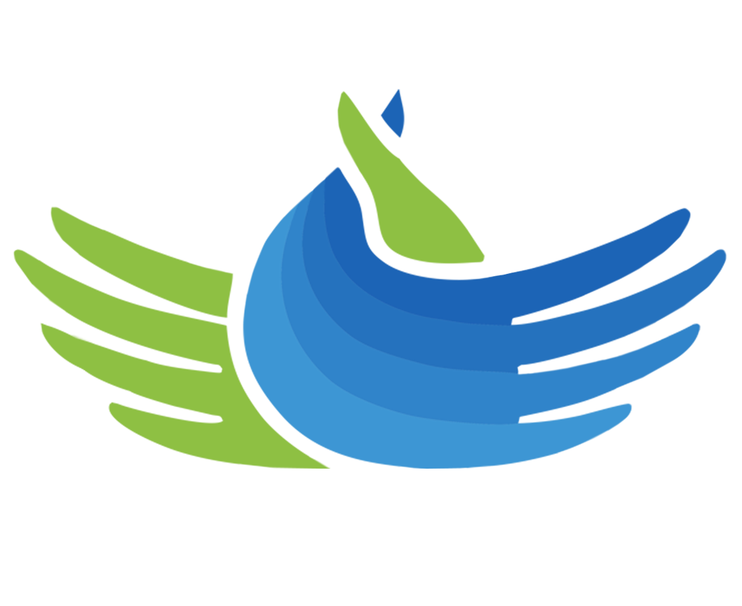 логотип прозрачный фон.png