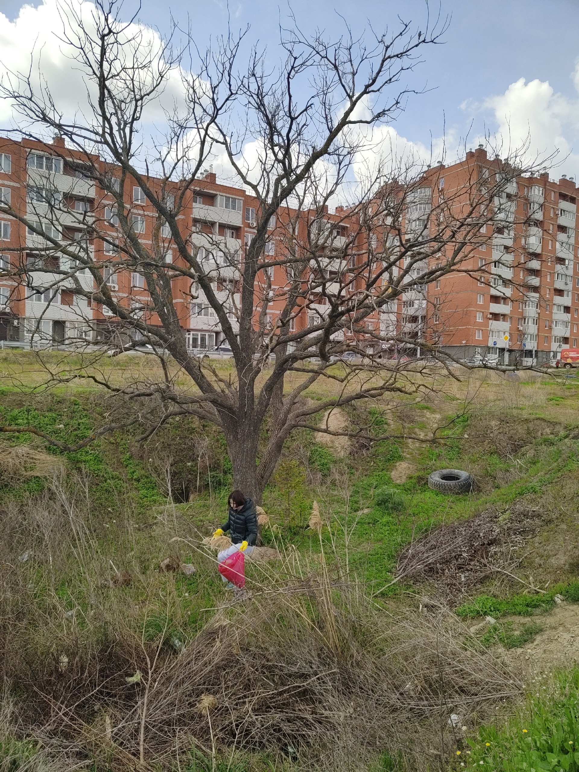 photo